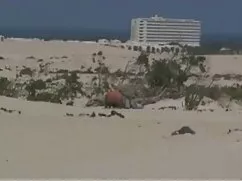 Két Fiatal Leszbikus ...