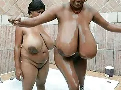 A barna hajú lány, t ...