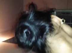 Egy lány, barna hajú ...