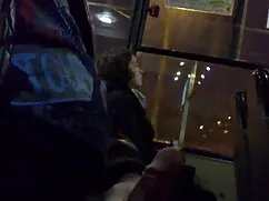 A tanár, Érett, őszü ...